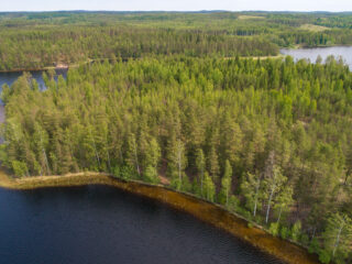 Kesäinen sekametsä reunustaa järveä. Taustalla metsää ja vesistöä. Ilmakuva.