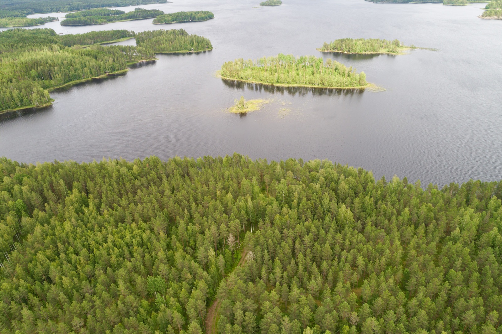 Ilmakuvassa kohti rantaa johtava tie erottuu metsän keskeltä. Järvessä on useita erikokoisia saaria.