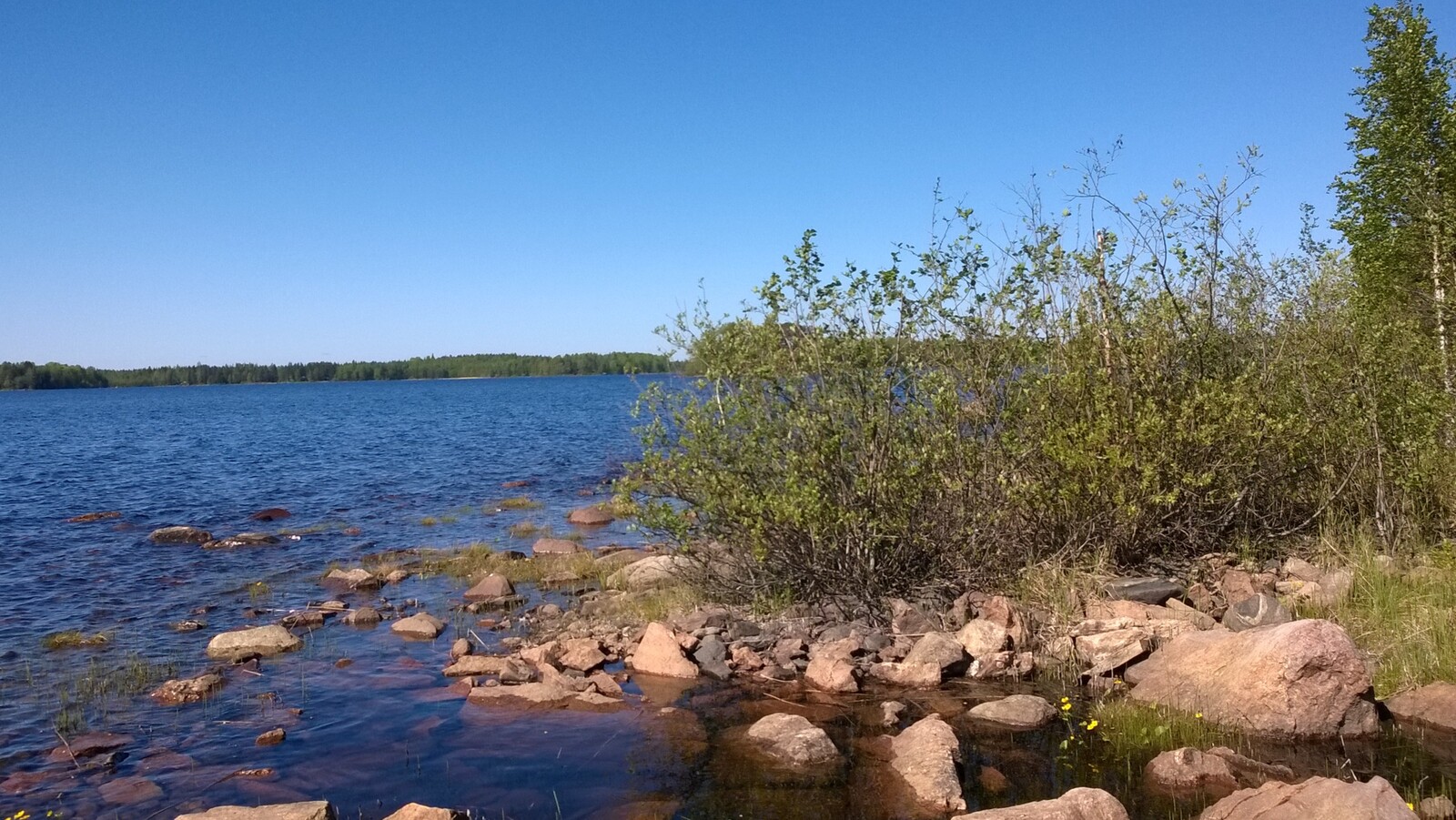 Kivikkoisella rannalla kasvaa pajuja ja taustalla avautuu laaja järvimaisema.