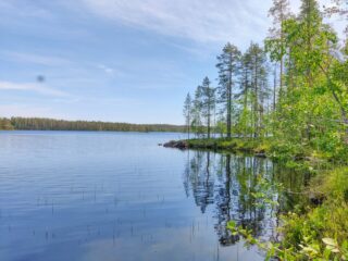 Oikealla niemessä kasvavat kesäiset puut heijastuvat veteen kesäisessä järvimaisemassa.