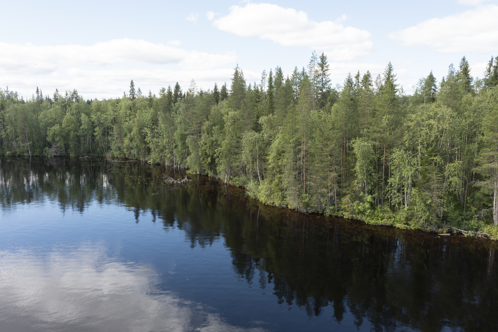 Ilmakuva järveltä tontille