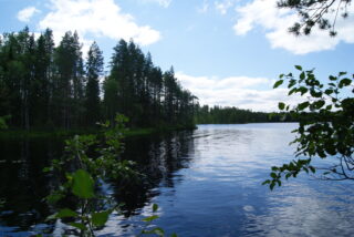 Lehtipuiden oksat reunustavat kesäistä järvimaisemaa. Rantametsä ja taivas heijastuvat veteen.