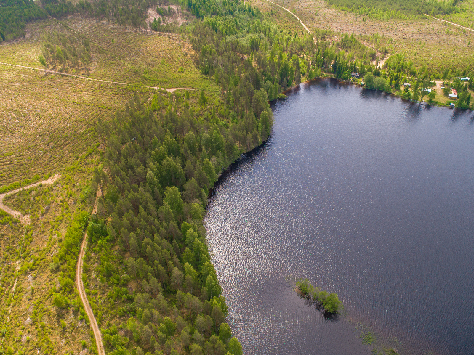 Metsä reunustaa järveä, jonka rannalla on muutama mökki. Tie kulkee hakkuuaukealla. Ilmakuva.