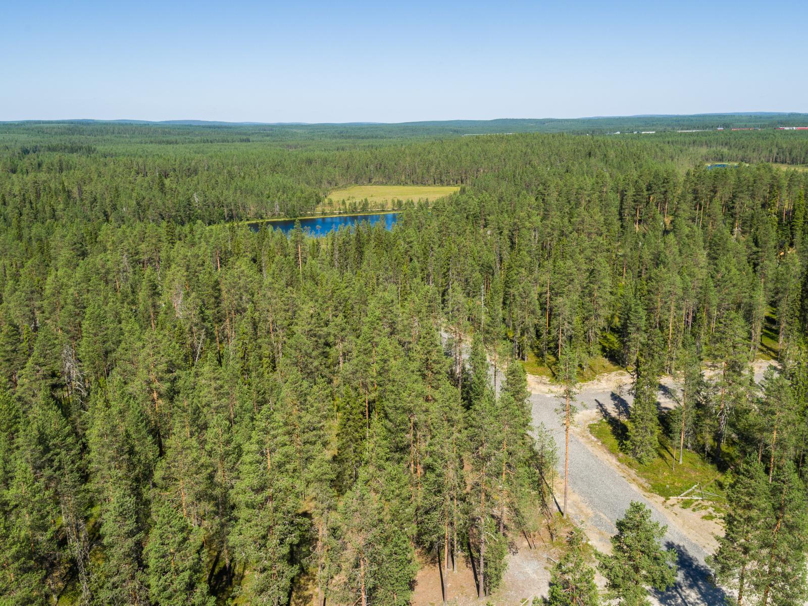 Ilmakuvassa laaja metsämaisema, jossa kulkeva tie haarautuu. Lähellä horisonttia vesistöä ja pelto.