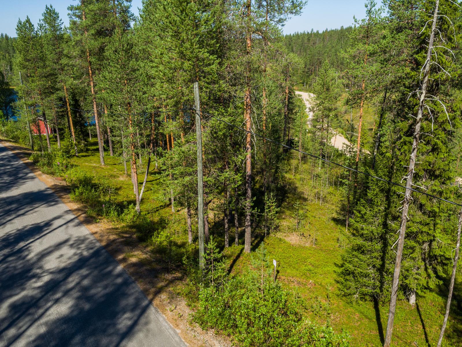 Loivassa rinteessä kasvava havumetsä reunustaa tietä. Puiden takana on lampi ja mökki. Ilmakuva.