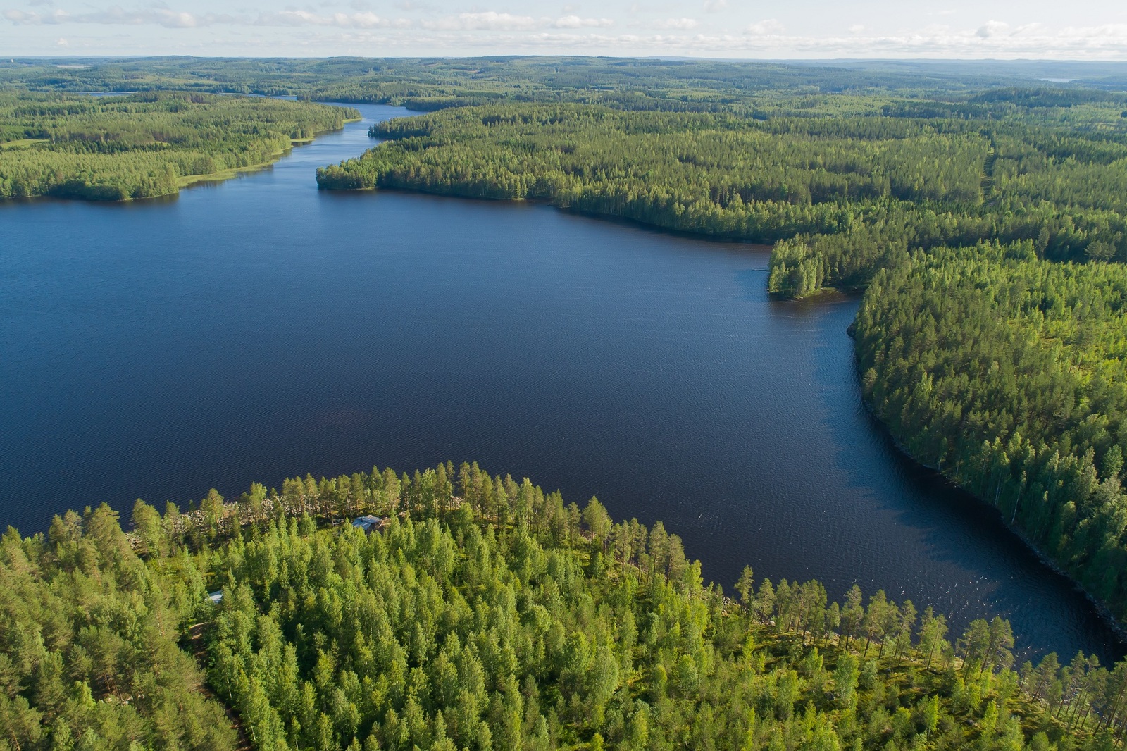 Kesäinen metsä reunustaa järveä auringonpaisteessa. Etualalla pilkottaa mökki metsässä. Ilmakuva.