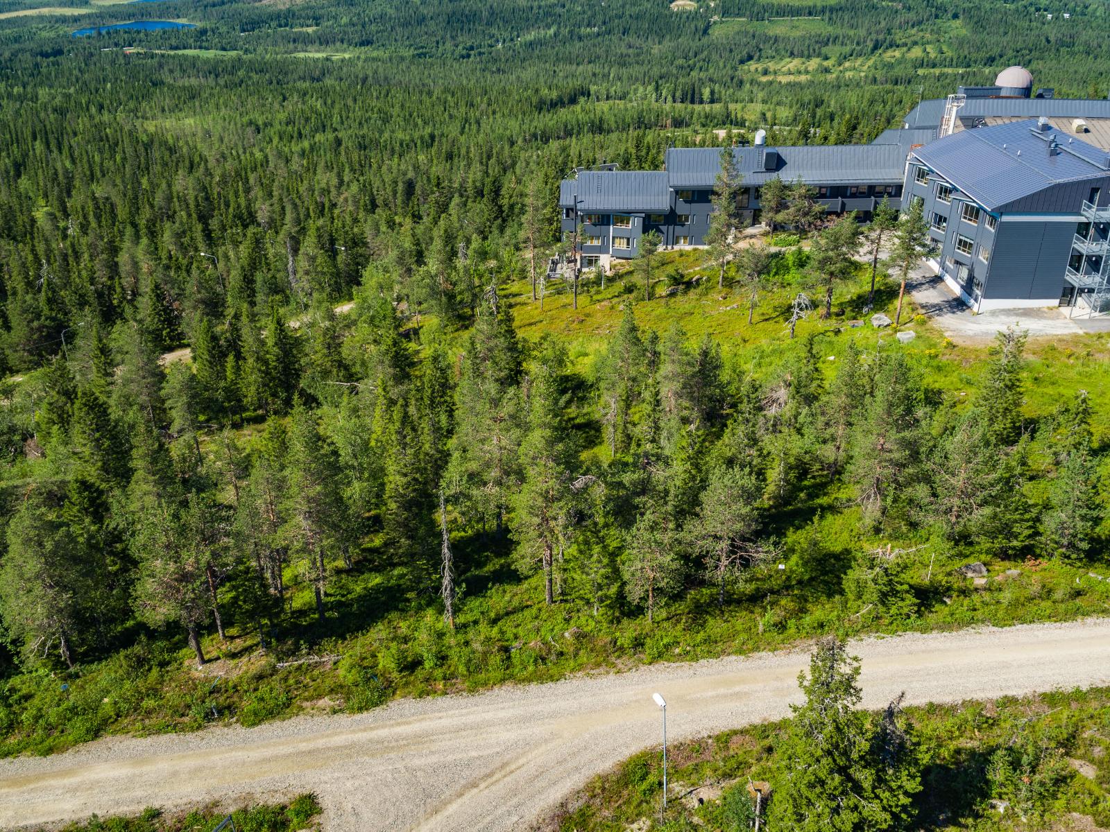 Kesäisessä metsässä kulkeva tie vie tunturin laella sijatsevalle hotellille. Ilmakuva.