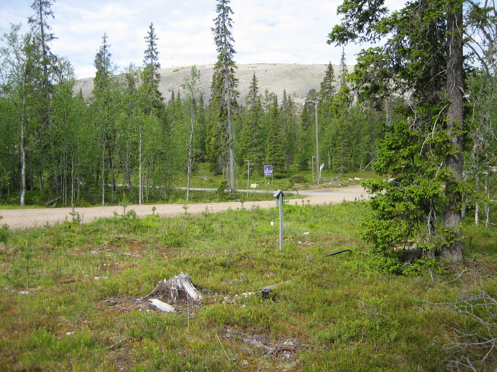 Hiekkatie kulkee tontin ohitse. Kuusivaltaisen metsän takana kohoaa rakkakivinen tunturi.