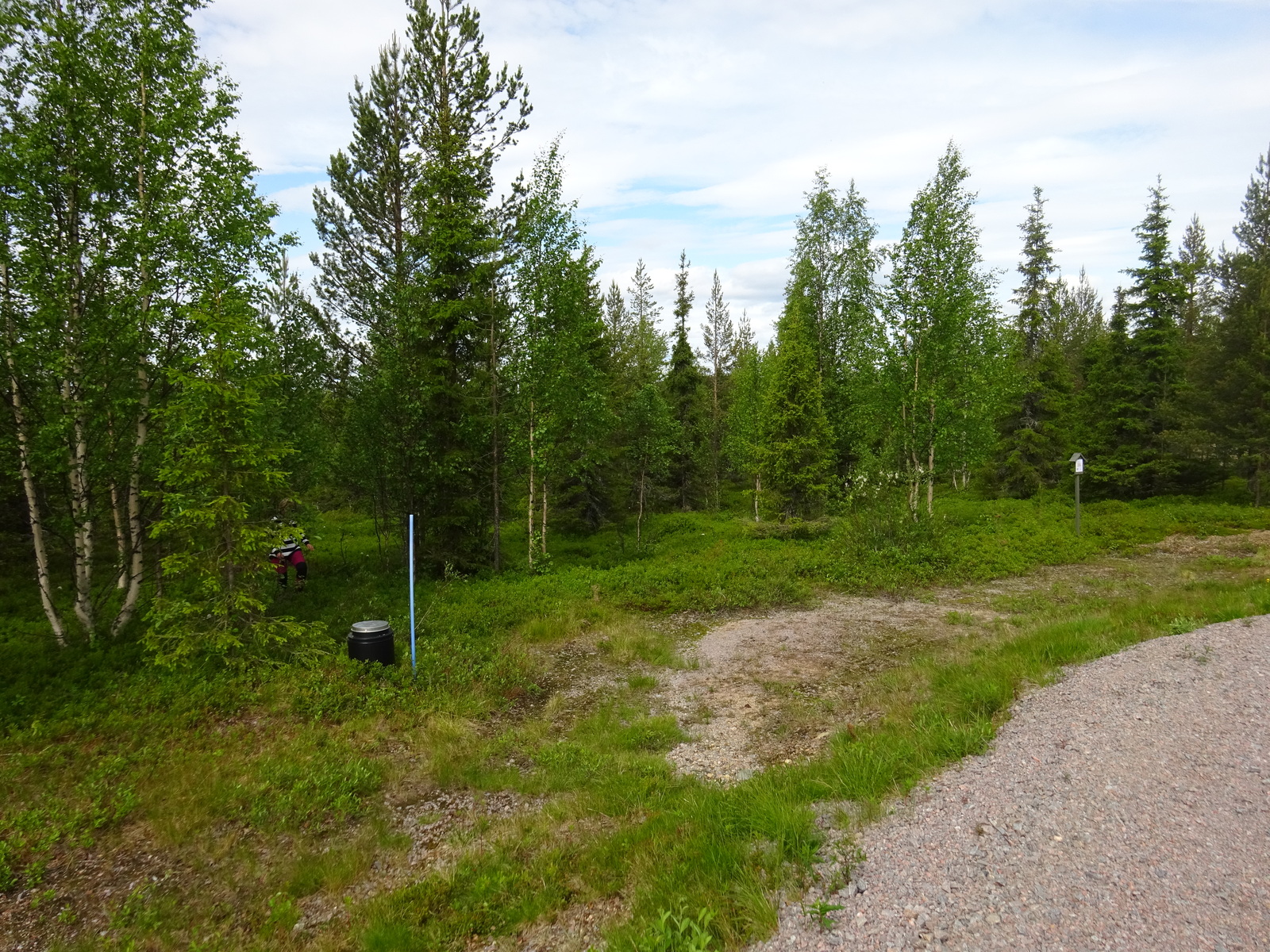 Tien reunalta alkaa vehreä sekametsä. Puiden lomassa kävelee raitapaitainen henkilö.