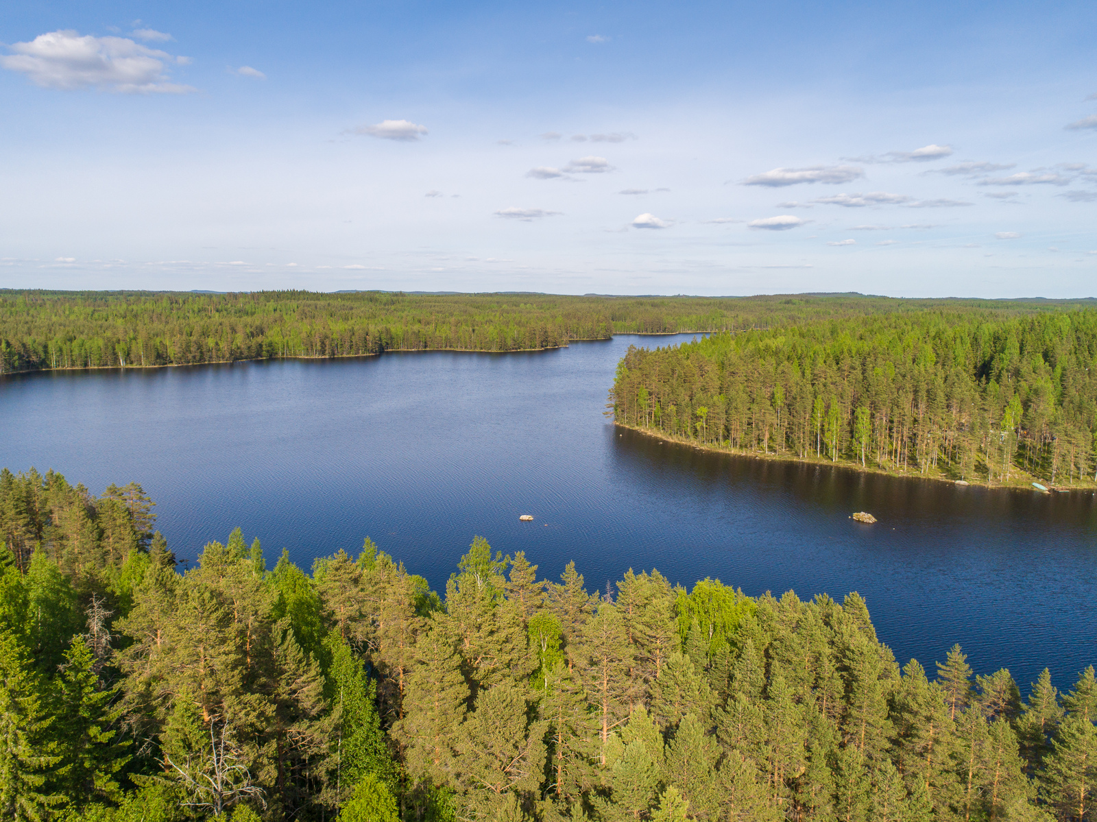 Kesämaisemassa metsät reunustavat suurta järveä, jossa on kaksi karikkoa. Ilmakuva.