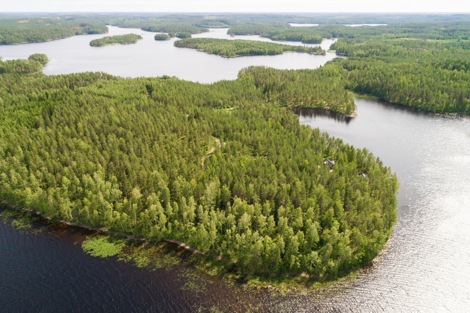 Kesämaisemassa on laaja metsäinen niemi sokkeloisen järven keskellä. Niemessä on mökki. Ilmakuva.