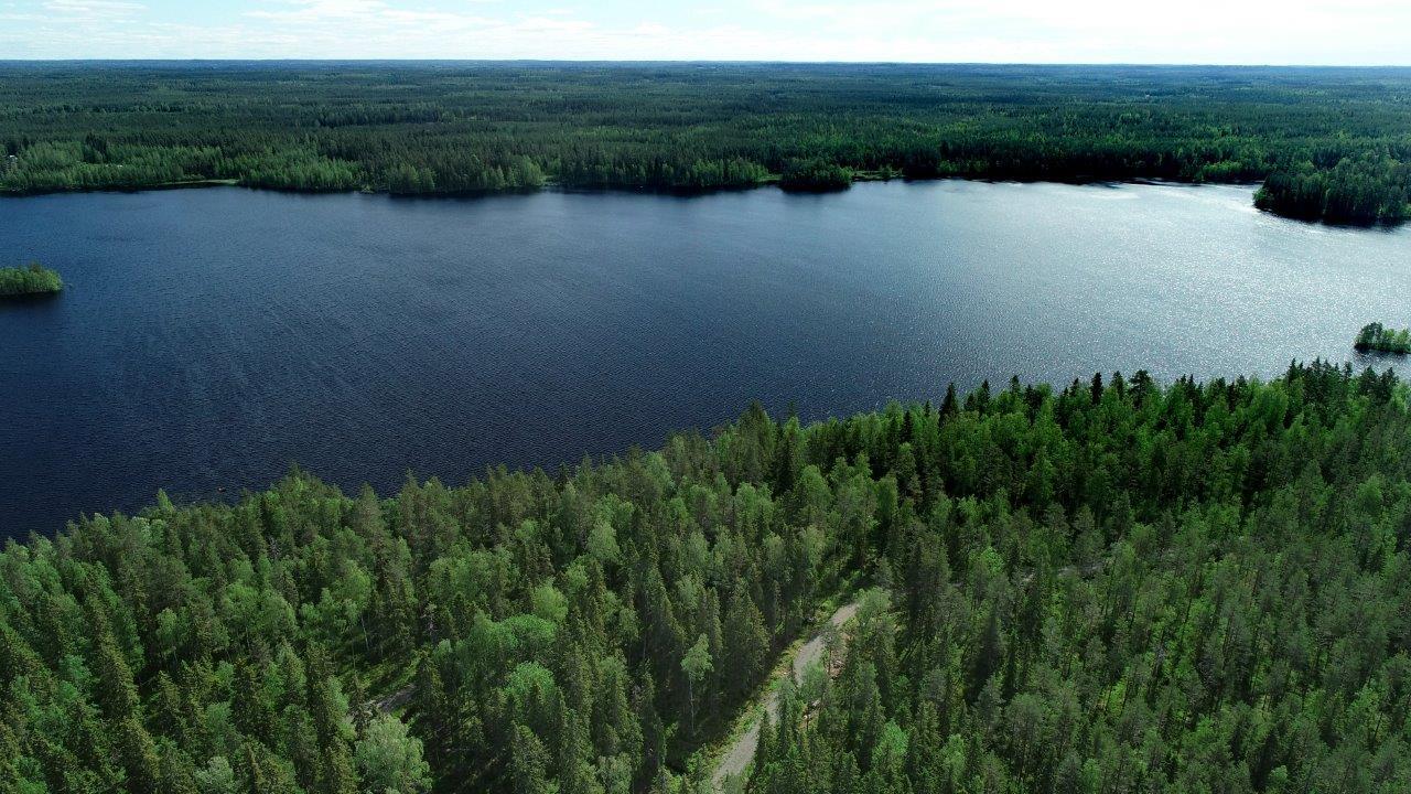 Kesämaisemassa laajat metsäalueet reunustavat järveä. Etualan metsässä kulkee tie. Ilmakuva.