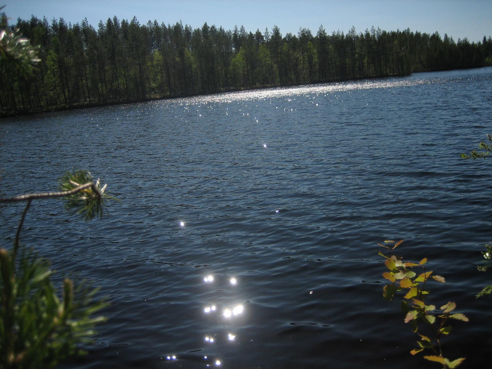 Puiden oksat reunustavat kesäistä järvimaisemaa. Vesi kimmeltää auringonvalossa.