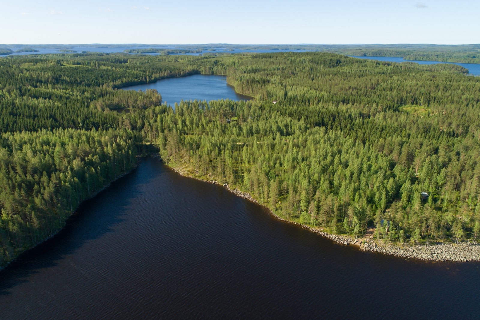 Kesäiset metsä- ja järvimaisemat vuorottelevat ilmakuvassa. Etualan järven rantaviiva on kivinen.