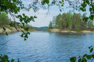 Koivun ja lepän oksat reunustavat kesäistä järvimaisemaa. Saarissa on kallioiset rannat.