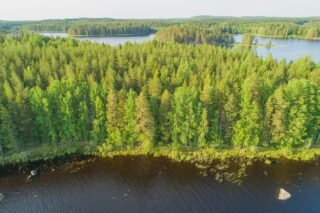 Vesistö ympäröi metsäistä saarta. Taka-alalla metsä jatkuu horisonttiin. Ilmakuva.