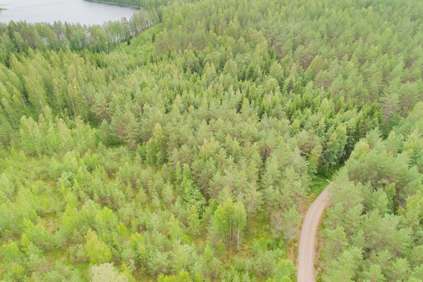 Ilmakuvassa tie kulkee metsän halki oikeassa alalaidassa. Vasemmassa yläkulmassa häämöttää vesistö.