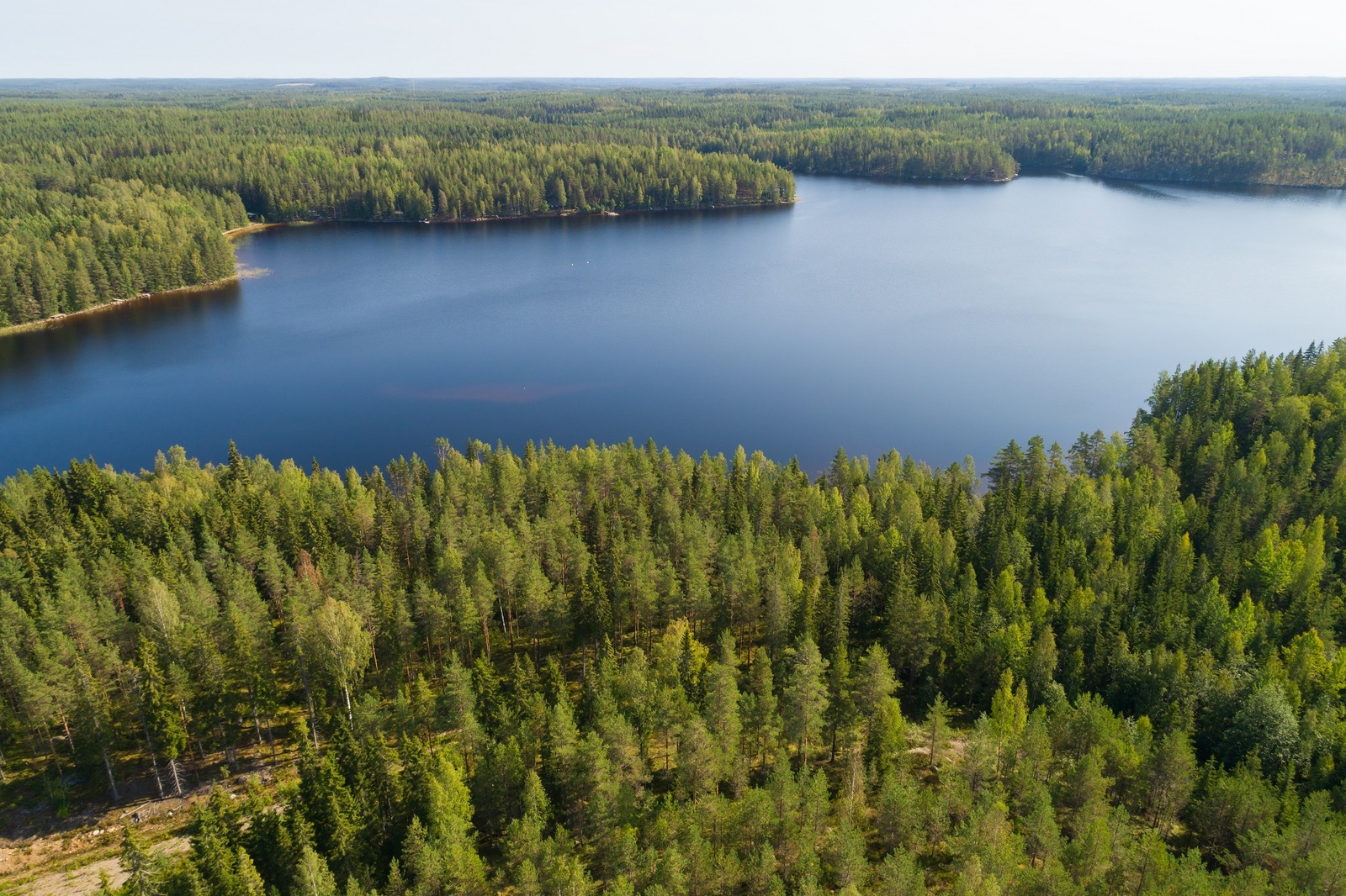 Kesäiset metsät reunustavat keskelle jäävää järveä. Etualan metsässä kulkee tie. Ilmakuva.