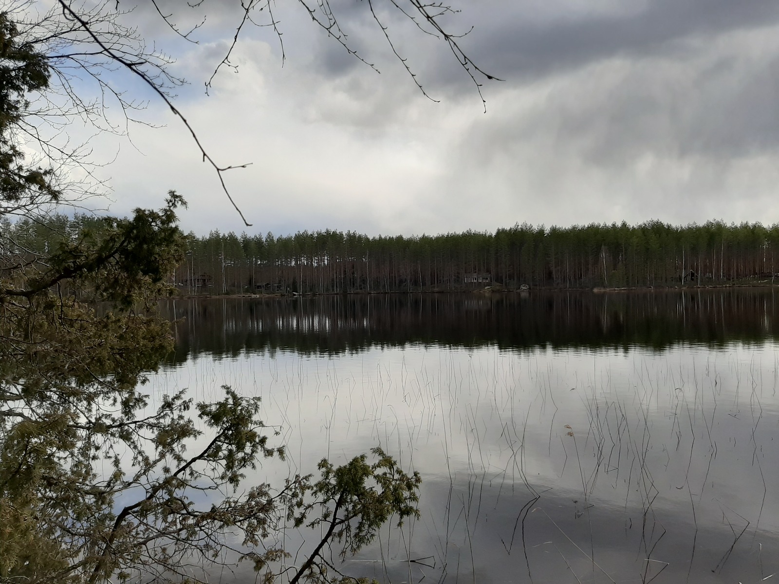 Näkymä rannalta järvelle