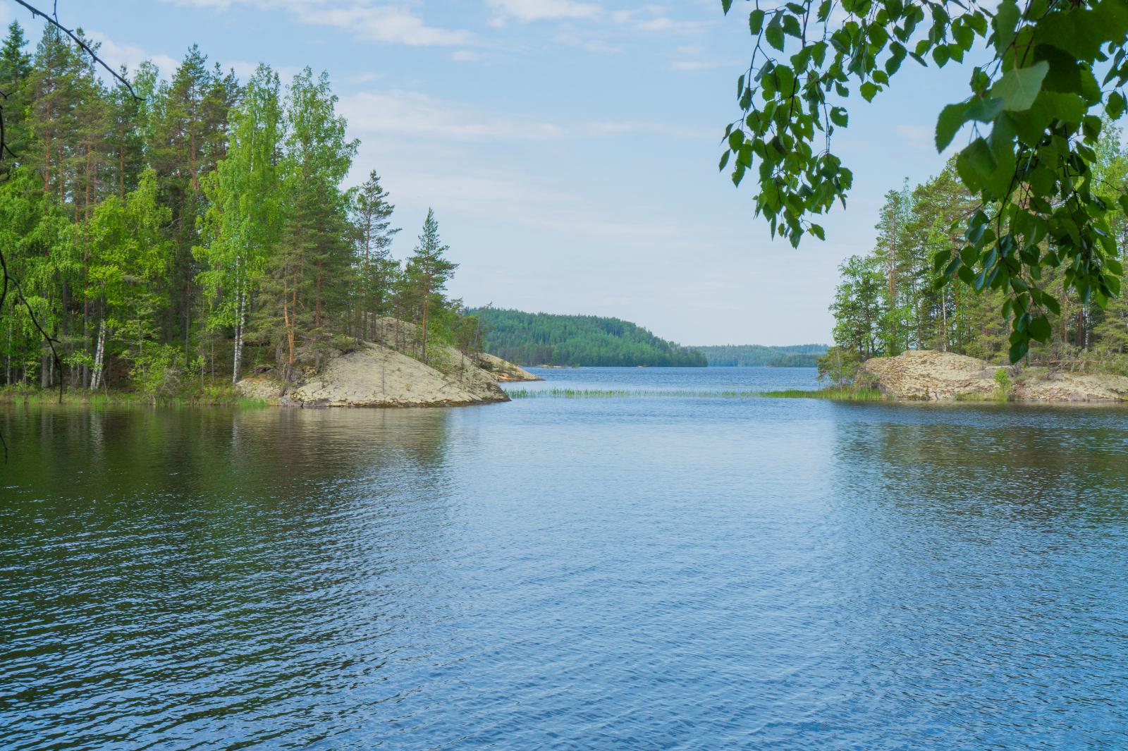 Kesäisen järvimaiseman saarissa on rantakallioita. Etualalla koivun oksa kaartuu kohti vettä.