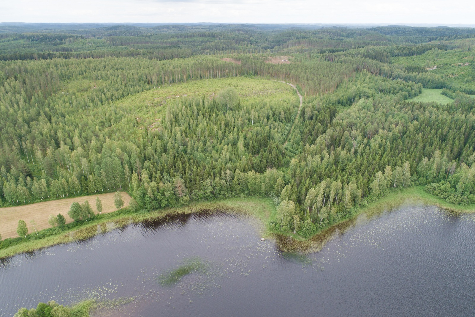 Horisonttiin jatkuva metsäalue reunustaa järveä mutkittelevassa rantaviivassa. Ilmakuva.