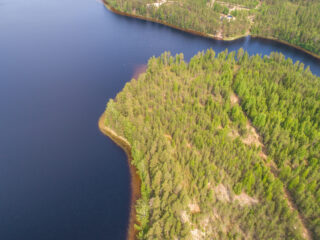 Kesämaisemassa metsäisen saaren pääty. Vastarannalla on mökki. Ilmakuva.