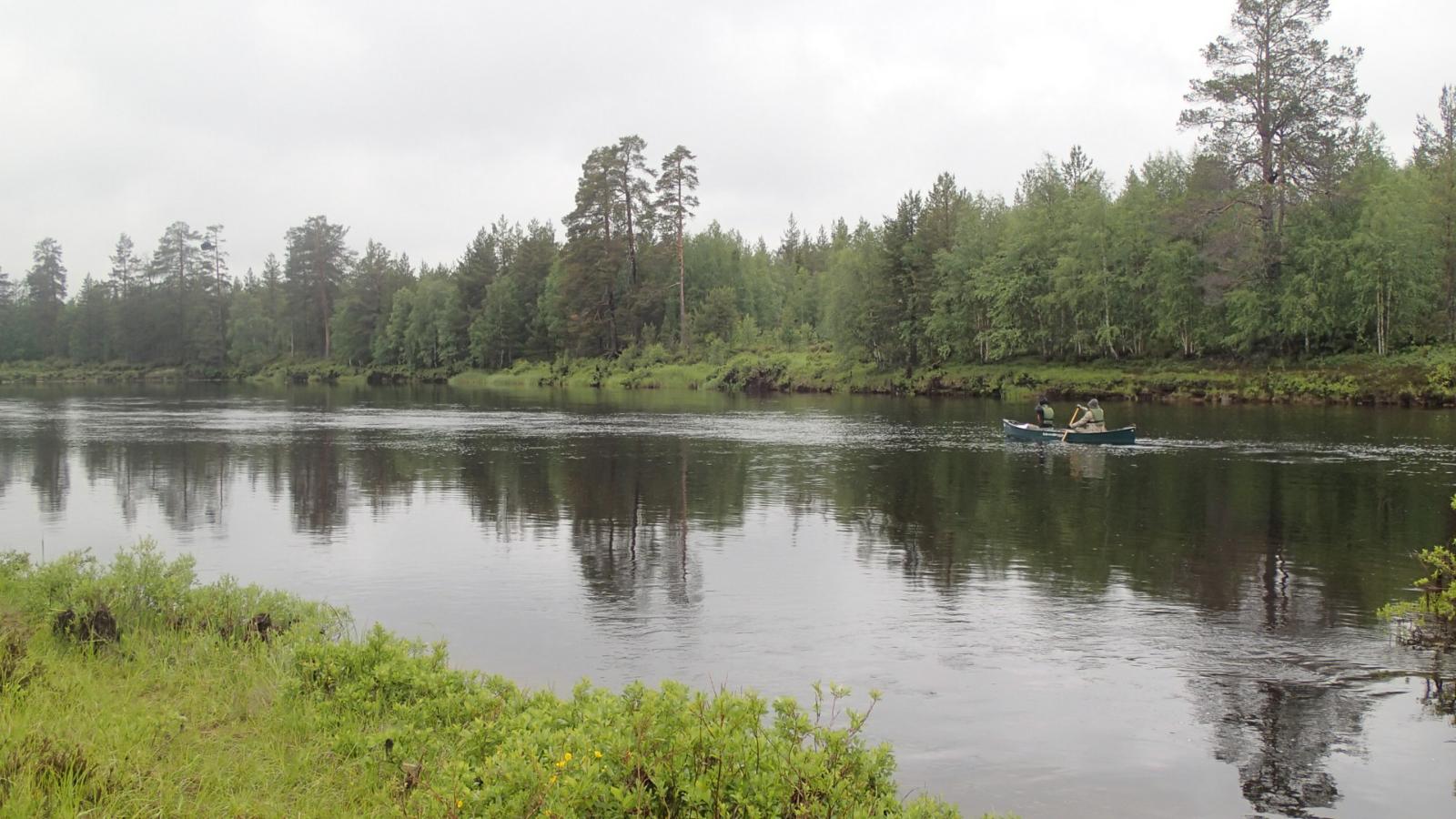 Kaksi melojaa matkaa kanootissa jokea pitkin. Vastarannan metsä heijastuu veteen.