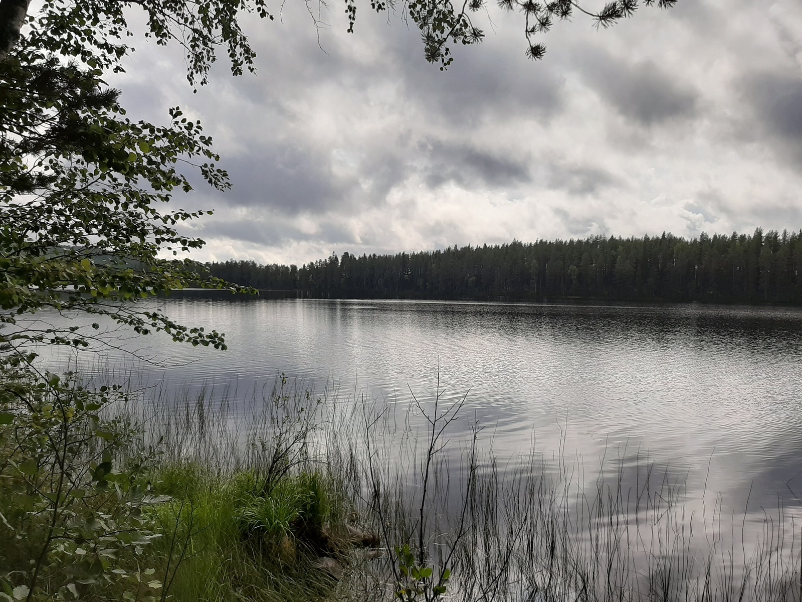 Puiden oksat kaartuvat kohti järveä. Pilvinen taivas heijastuu lähes tyyneen veteen.