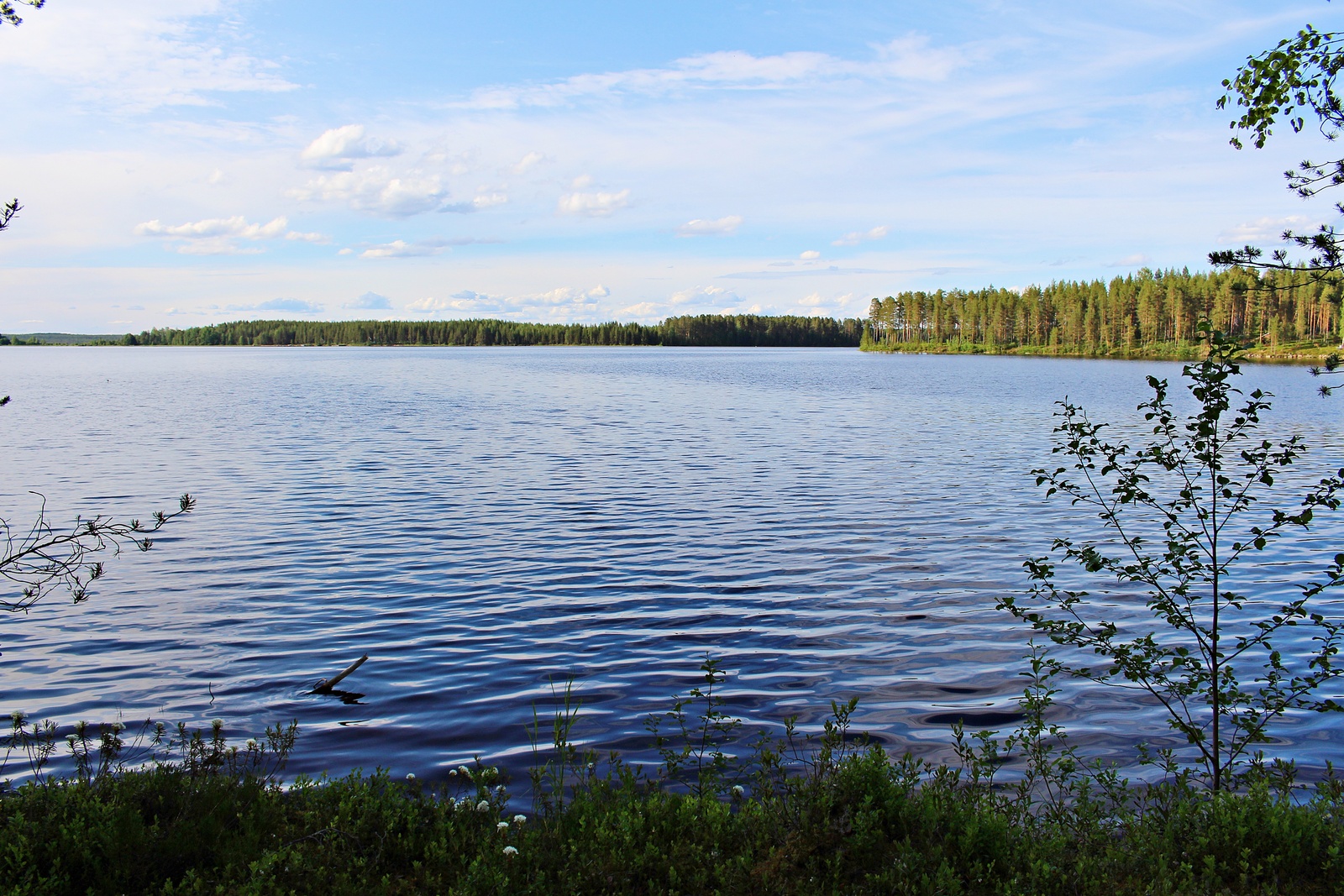 Rannasta avautuu kesäinen ja avara järvimaisema.