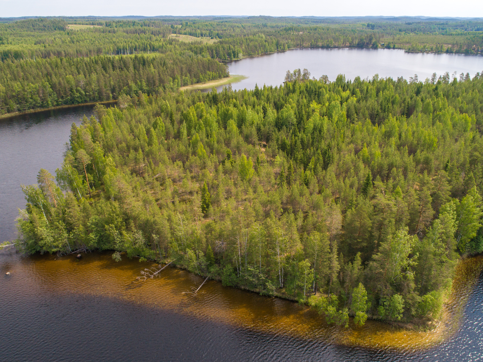 Kesäiset sekametsät reunustavat saaren ja järven rantoja. Ilmakuva.