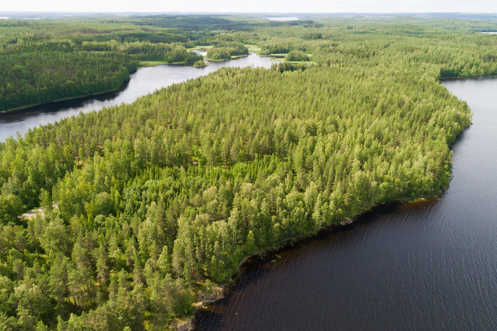 Kesämaisemassa kahden vesialueen välissä on metsäinen kaistale, jolla kulkee tie. Ilmakuva.