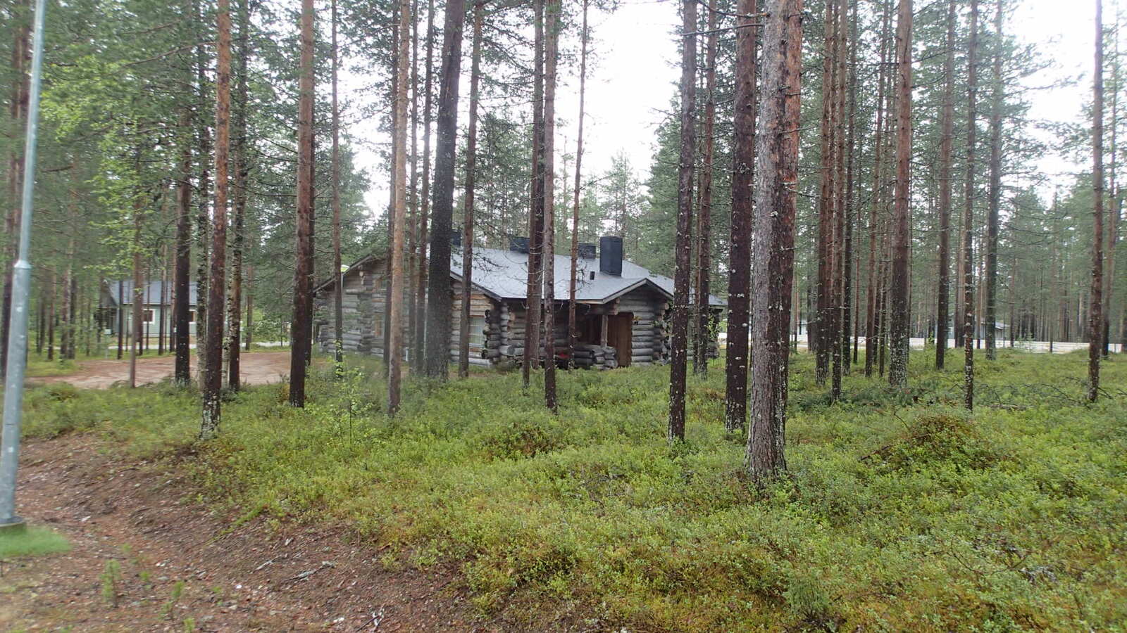 Tien laidasta alkaa mäntyvaltainen metsä. Keskellä on hirsimökki ja taustalla kaksi muuta mökkiä.