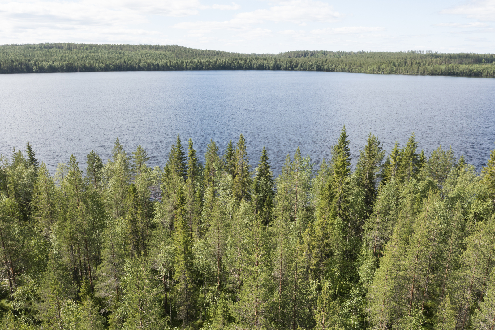 Ilmakuva tontilta järvelle