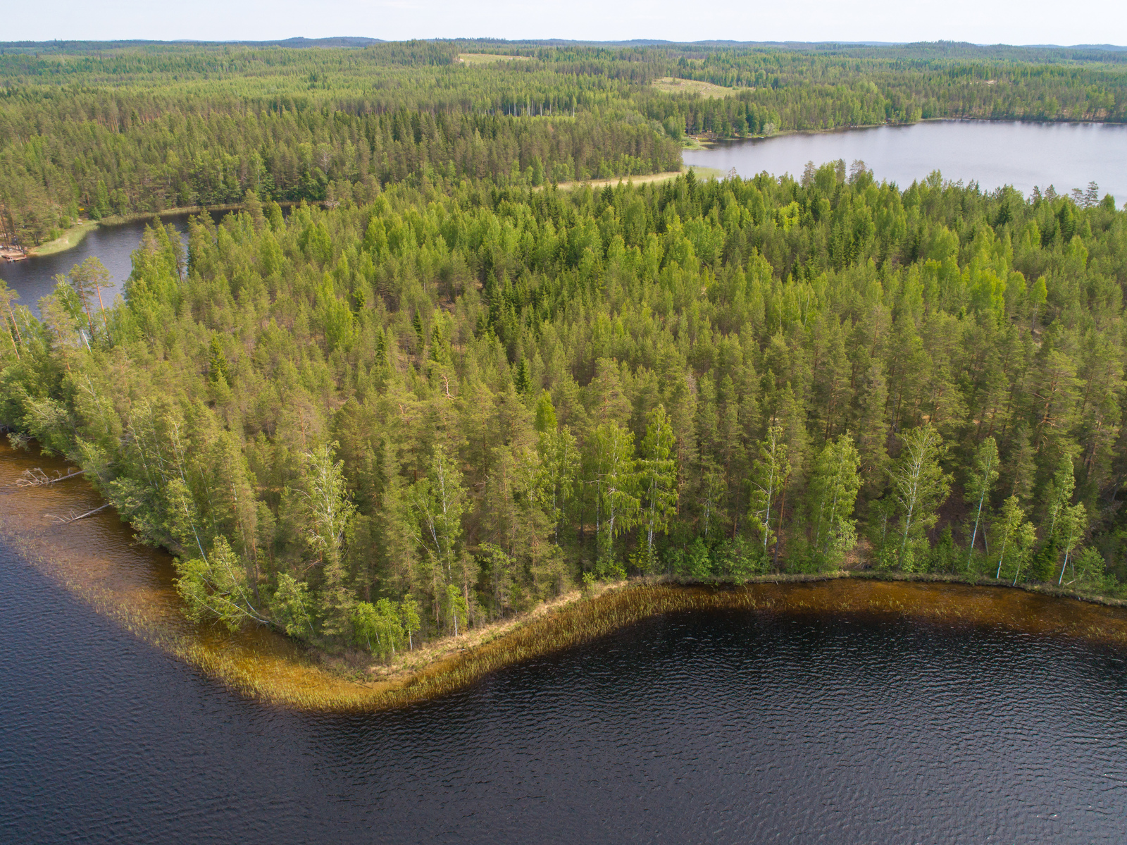 Kesäiset sekametsät reunustavat saaren ja järven rantoja. Ilmakuva.