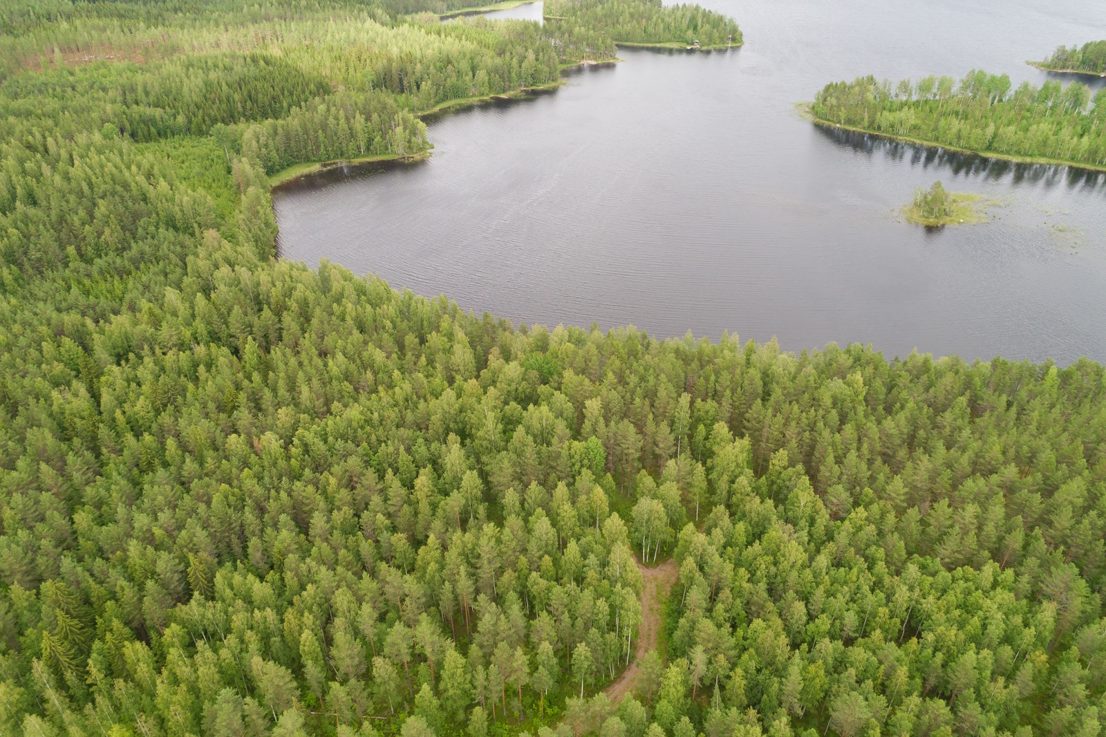 Ilmakuvassa tie kulkee kohti rantaa metsän läpi. Järvessä on erikokoisia saaria.