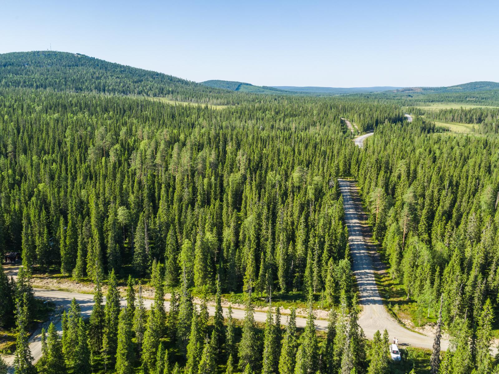 Mökkitie haarautuu kuusivaltaisessa metsässä. Horisontissa kohoaa tunturimaisema. Ilmakuva.