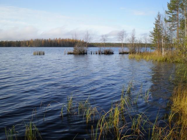 Oikean laidan puut reunustavat syksyistä järvimaisemaa. Lähellä rantaa on ruovikkoisia saarekkeita.