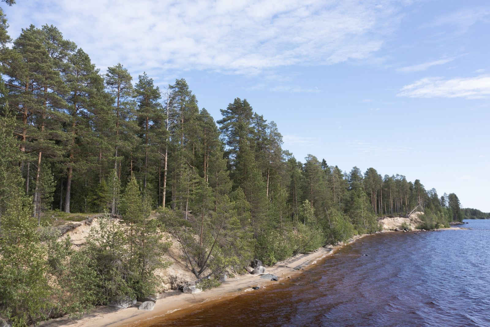 Kesäisessä järvimaisemassa hiekkarantaa reunustaa rantatörmällä kasvava mäntymetsä.