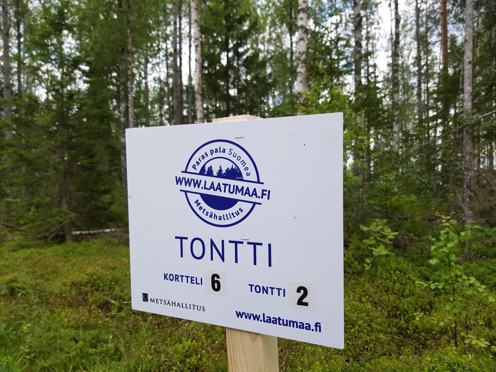 Metsän edustalla Laatumaan tonttikyltti osoittaa tontin ja korttelin numeron.