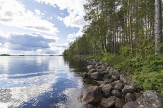 Mäntyvaltainen metsä reunustaa kesäistä järvimaisemaa. Kivinen rantaviiva jatkuu horisonttiin.