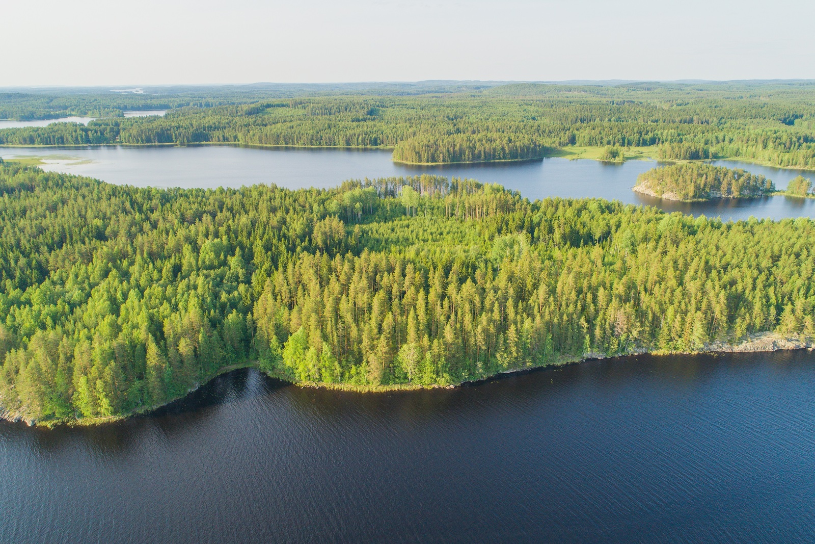 Vesistö ympäröi metsäistä saarta. Taka-alalla metsä jatkuu horisonttiin. Ilmakuva.