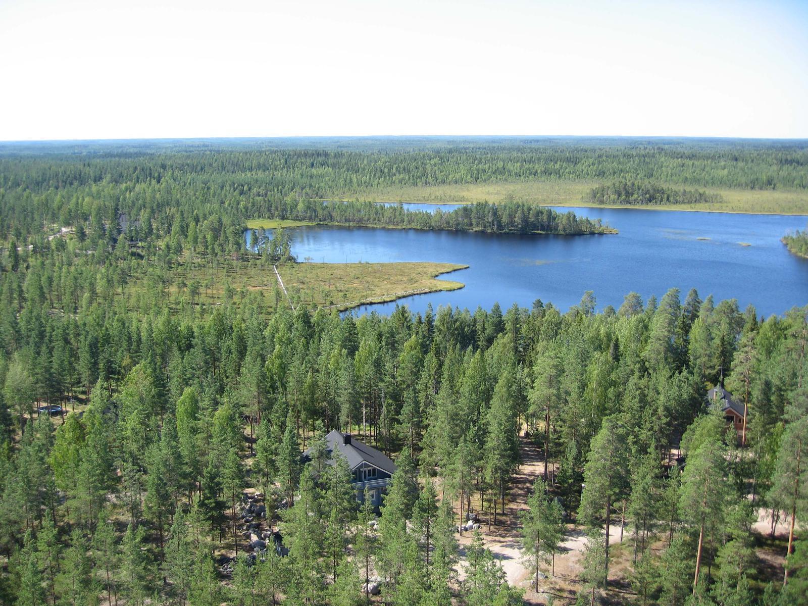 Metsät ja suot ympäröivät järveä. Etualan puiden välistä erottuu mökkejä. Ilmakuva.