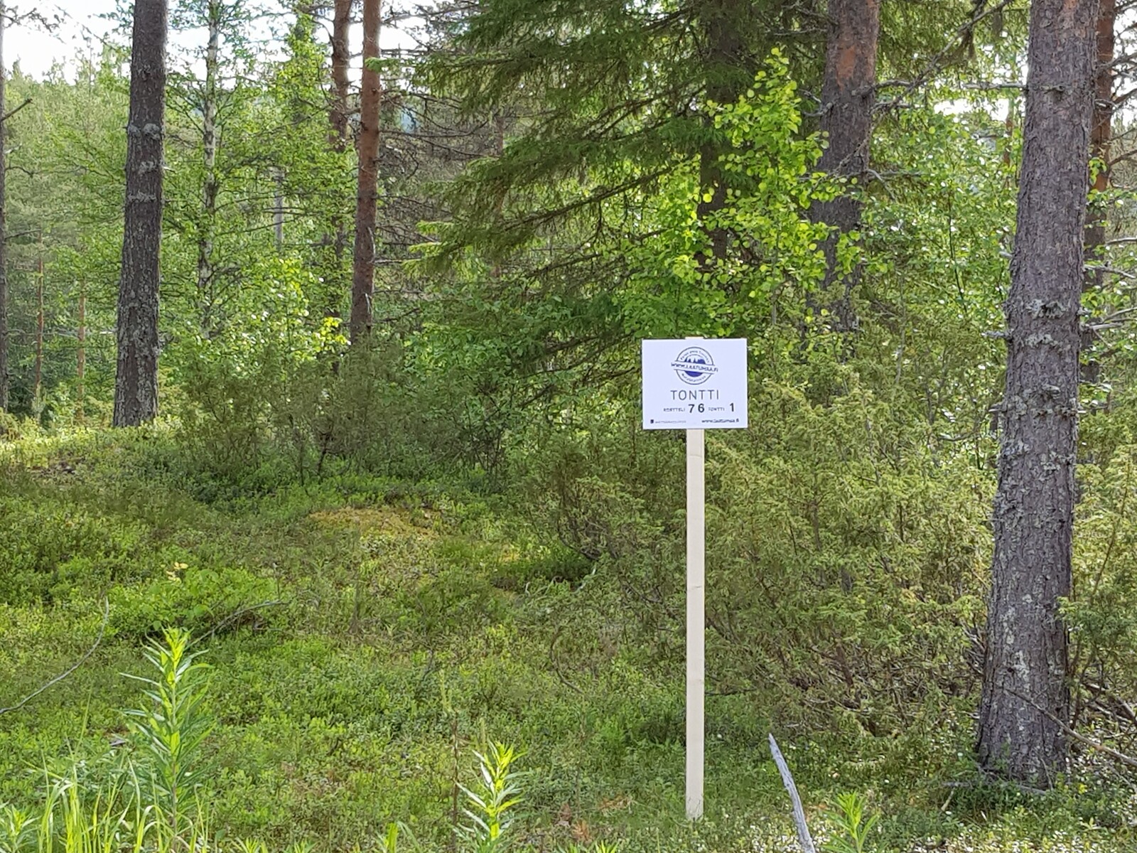 Metsän reunalla seisovaan Laatumaan kylttiin on merkitty korttelin ja tontin numerot.