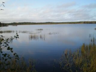Kesäisessä järvimaisemassa puolipilvinen taivas heijastuu veteen. Etualalla vesikasveja.