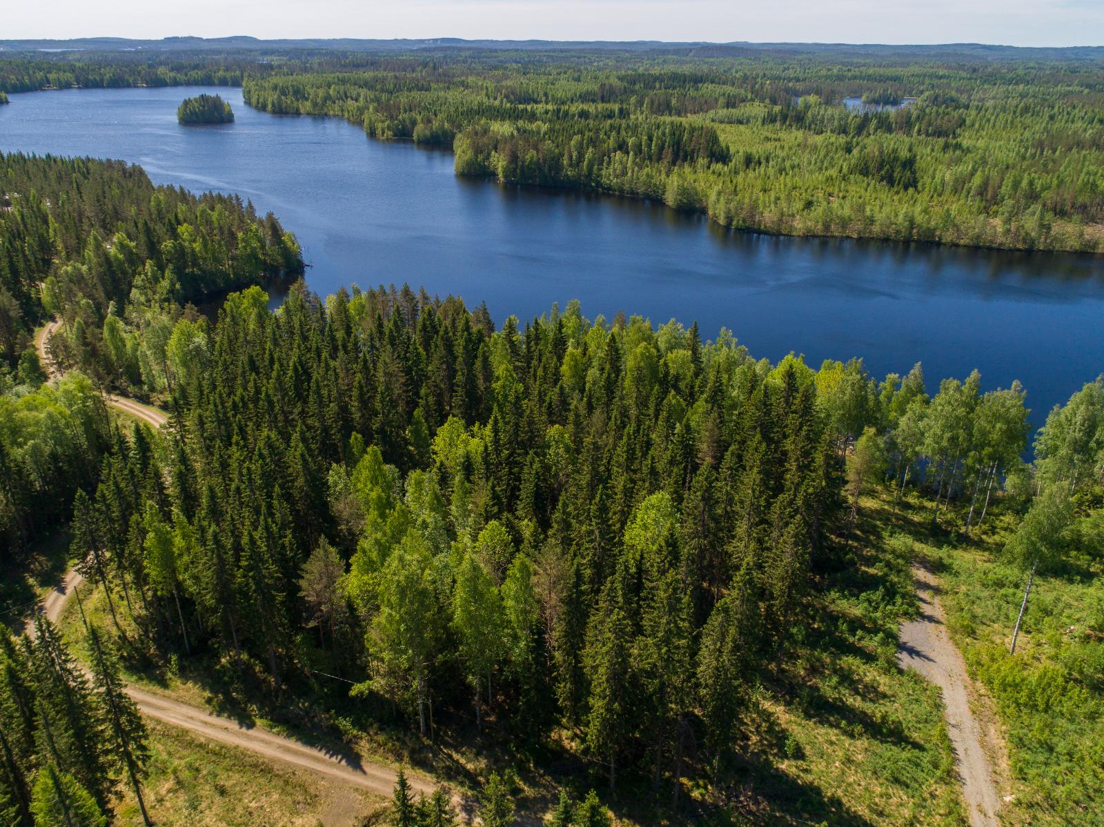 Ilmakuvassa etualalla sekametsää, jonka takana järvi