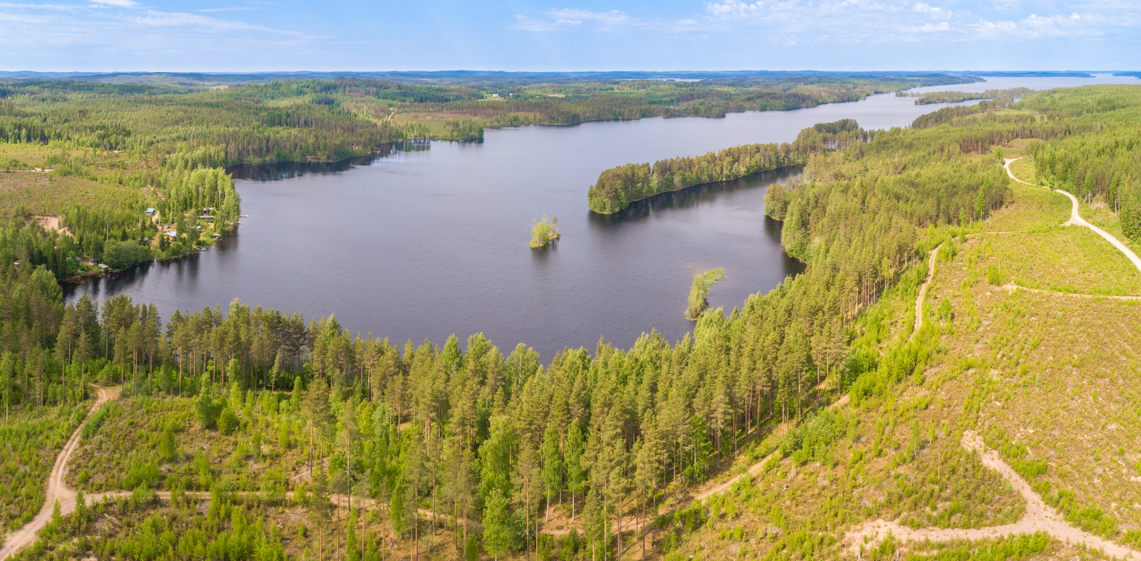 Metsä reunustaa pitkulaista järveä, jossa on pitkä kapea niemi. Rannalla on rakennuksia. Ilmakuva.