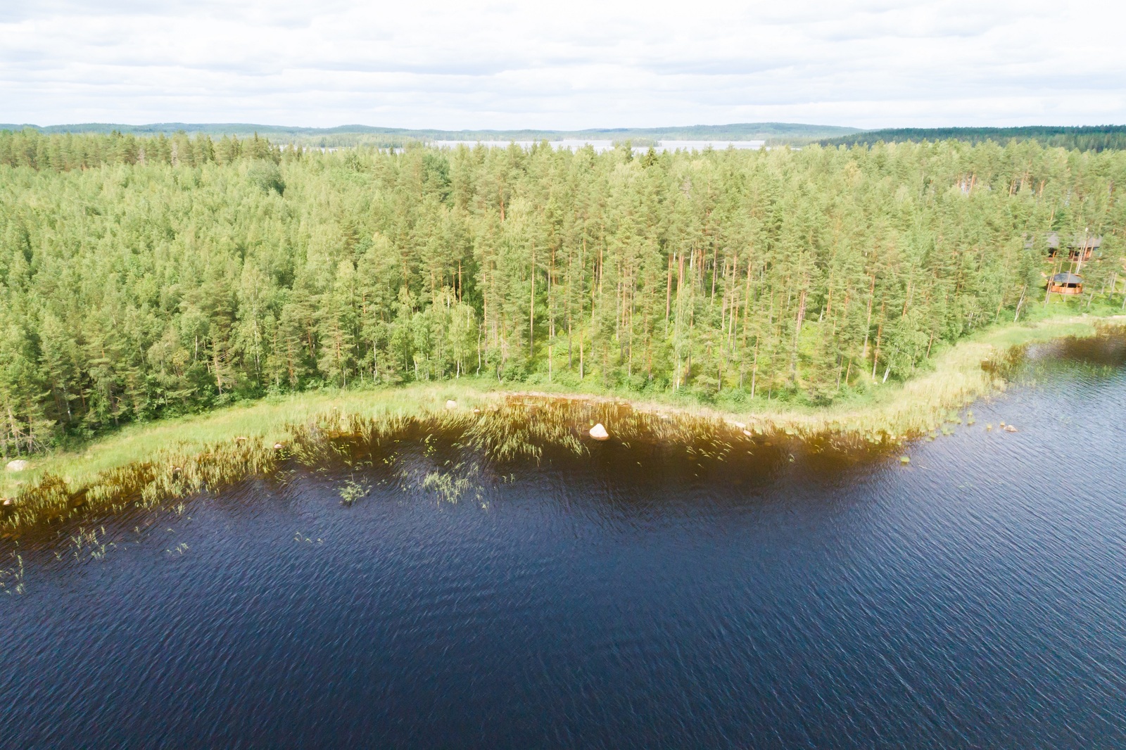 Kesäisen vehreä sekametsä reunustaa järveä. Oikealla pilkottaa mökki. Ilmakuva.