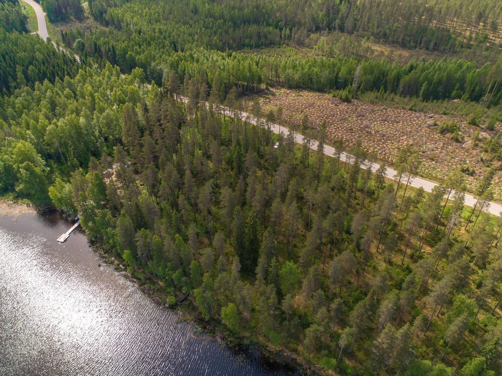 Järven rannasta alkavassa metsässä kulkee tie hakkuaukean ohi. Rannassa on mökki. Ilmakuva.