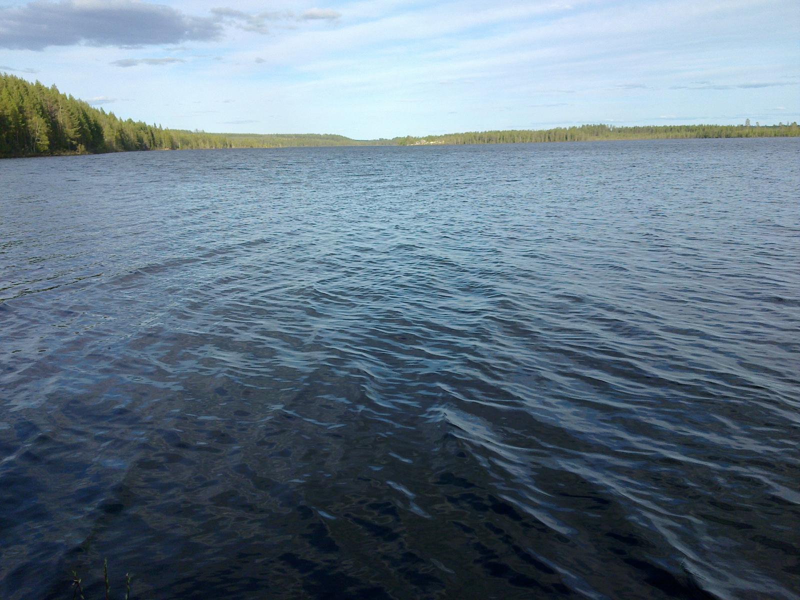 Kesäisessä järvimaisemassa vesi laineilee hieman. Horisonttiin ulottuvaa järveä ympäröi metsä.