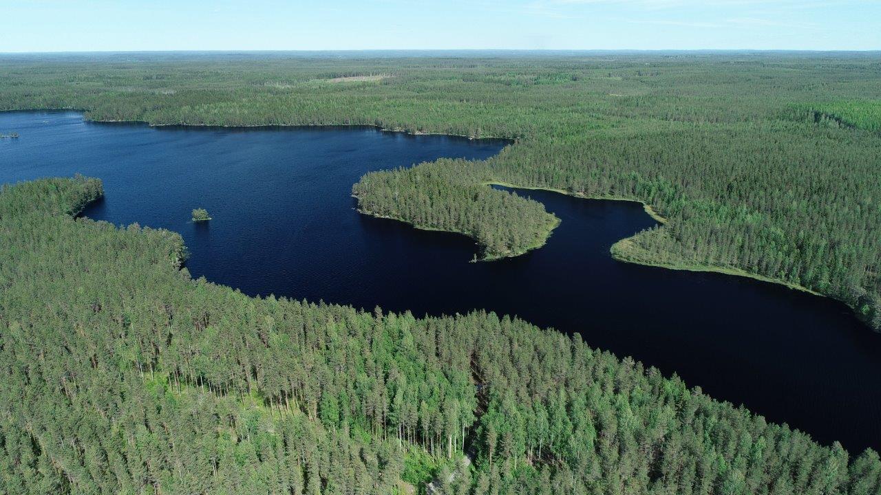 Kesäisessä maisemassa laajat metsäalueet ympäröivät pitkulaista järveä. Ilmakuva.